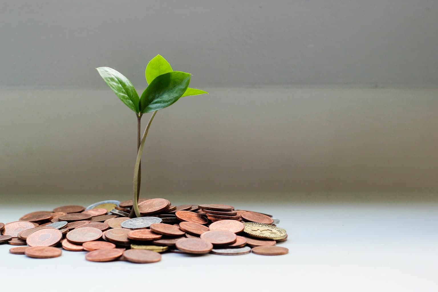 Custom software is an investment that pays back over years of operations